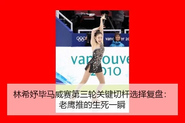 lin-xi-yu-bi-ma-wei-sai-di-san-lun-guan-jian-qie-gan-xuan-ze-fu-pan-lao-ying-tui-de-sheng-si-yi-shun-2-426.jpg